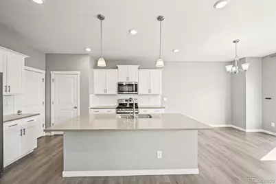 2248 Rosette Lane, Castle Rock, CO 80104 - Photo 8