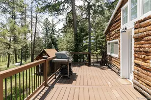 6744 Marshmerry Ln, Evergreen, CO 80439 - Photo 46