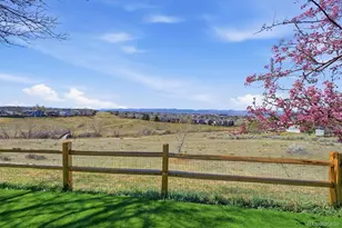 508 Longfellow Ln, Highlands Ranch, CO 80126 - Photo 46