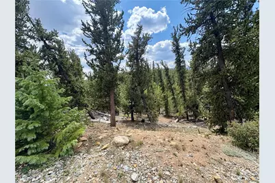 000 Beaver Creek Road, Alma, CO 80420 - Photo 26