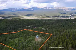 000 Beaver Creek Rd, Alma, CO 80420 - Photo 1