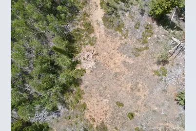 000 Beaver Creek Road, Alma, CO 80420 - Photo 4