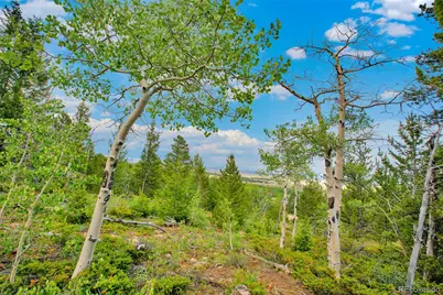 751 Lamb Mountain Road, Fairplay, CO 80440 - Photo 22