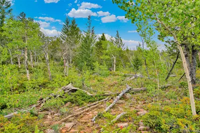 751 Lamb Mountain Road, Fairplay, CO 80440 - Photo 20