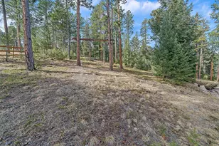 6752 S Columbine Rd, Evergreen, CO 80439 - Photo 30