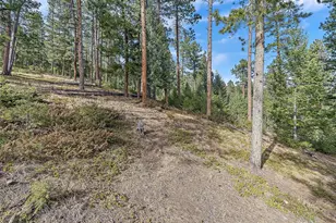 6752 S Columbine Rd, Evergreen, CO 80439 - Photo 32