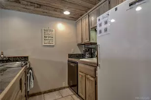 600 South Park Avenue, Breckenridge, CO 80424 - Photo 12