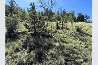 8390 Chickasaw Road, Hartsel, CO 80449 - Photo 12