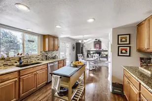 20577 E Shefield Ct, Parker, CO 80138 - Photo 4