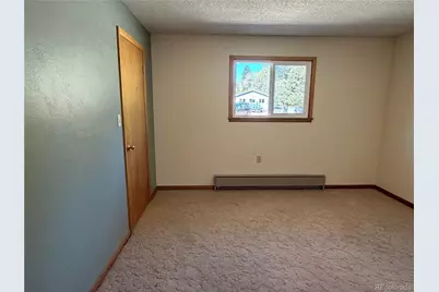 115 Hill Street, Buena Vista, CO 81211 - Photo 22