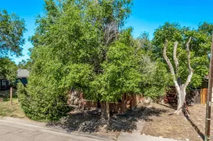 2708 Poplar St, Pueblo, CO 81004 - Photo 14