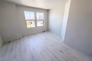 19036 Randolph Pl, Denver, CO 80249 - Photo 24