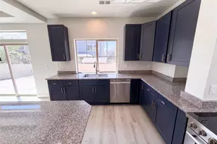 19036 Randolph Pl, Denver, CO 80249 - Photo 14