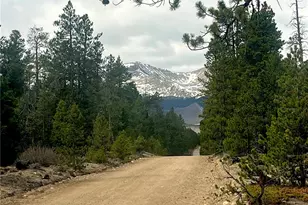 105 Fir Dr, Leadville, CO 80461 - Photo 1