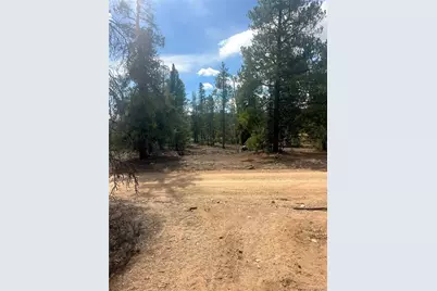 105 Fir Drive, Leadville, CO 80461 - Photo 4