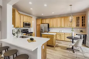 10726 Middlebury Way, Highlands Ranch, CO 80126 - Photo 6