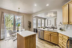 10726 Middlebury Way, Highlands Ranch, CO 80126 - Photo 8