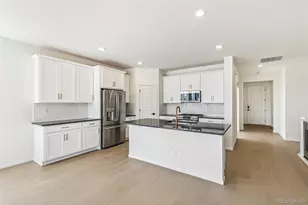 4371 Soapberry Pl, Castle Rock, CO 80108 - Photo 8