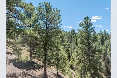 1676 Pathfinder Road, Florissant, CO 80816 - Photo 26