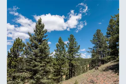 1676 Pathfinder Road, Florissant, CO 80816 - Photo 28