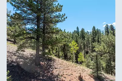 1676 Pathfinder Road, Florissant, CO 80816 - Photo 24