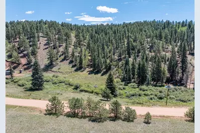 1676 Pathfinder Road, Florissant, CO 80816 - Photo 10