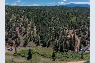 1676 Pathfinder Road, Florissant, CO 80816 - Photo 30