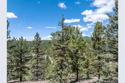 1676 Pathfinder Road, Florissant, CO 80816 - Photo 8