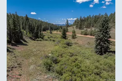 1676 Pathfinder Road, Florissant, CO 80816 - Photo 4