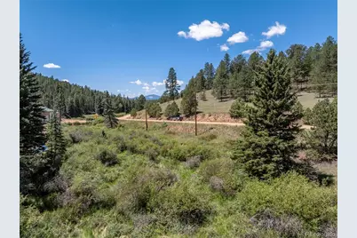 1676 Pathfinder Road, Florissant, CO 80816 - Photo 20