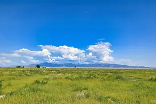 20520 Co Rd 59, Moffat, CO 81143 - Photo 4