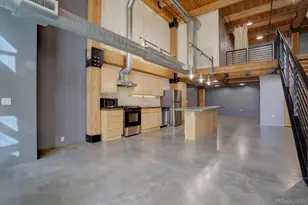 2955 Inca St, Denver, CO 80202 - Photo 1