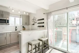 1265 Race St, Denver, CO 80206 - Photo 2