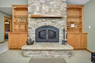 30695 Co Rd 361, Buena Vista, CO 81211 - Photo 8