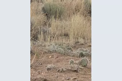 Lot 17 E Denver Rd., Blanca, CO 81123 - Photo 2
