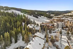 108 Guller Road, Frisco, CO 80443 - Photo 20