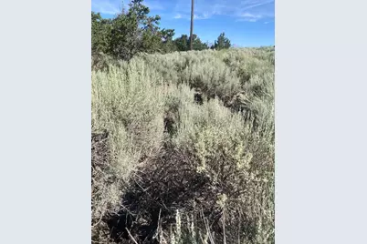 000 Juarez, Fort Garland, CO 81133 - Photo 6