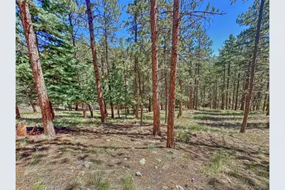 796 N Matterhorn Circle, Westcliffe, CO 81252 - Photo 26