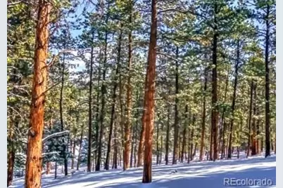 796 N Matterhorn Circle, Westcliffe, CO 81252 - Photo 24