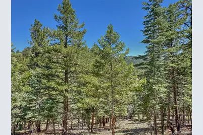 796 N Matterhorn Circle, Westcliffe, CO 81252 - Photo 12