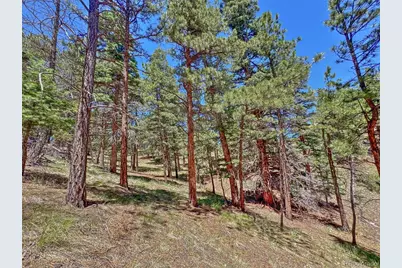 796 N Matterhorn Circle, Westcliffe, CO 81252 - Photo 4