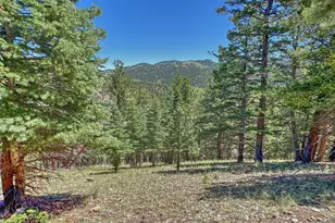 796 N Matterhorn Circle, Westcliffe, CO 81252 - Photo 1