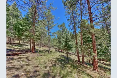 796 N Matterhorn Circle, Westcliffe, CO 81252 - Photo 32