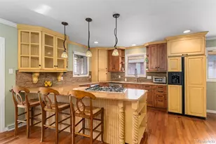 3423 S Race St, Englewood, CO 80113 - Photo 10