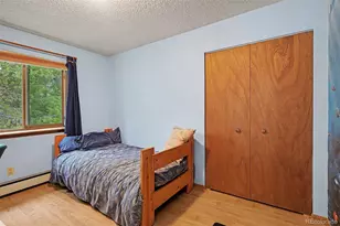 10605 Crystal Dr, Morrison, CO 80465 - Photo 14