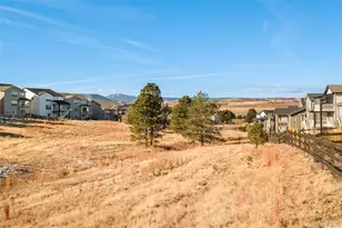 98 Simmental Loop, Castle Rock, CO 80104 - Photo 36