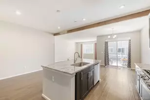 864 Penstemon Dr, Henderson, CO 80640 - Photo 12