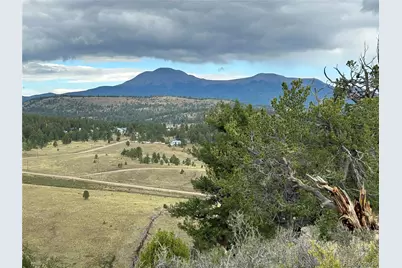 3826 Singletree Road, Hartsel, CO 80449 - Photo 2