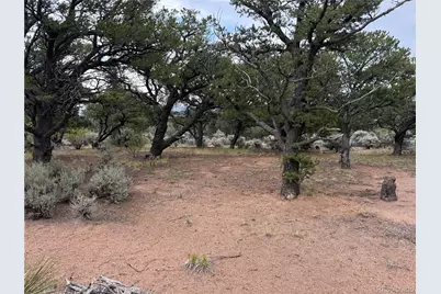 7863 Platten Road, Fort Garland, CO 81133 - Photo 12