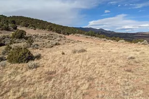 4389 Beekman Rd, Fort Garland, CO 81133 - Photo 1